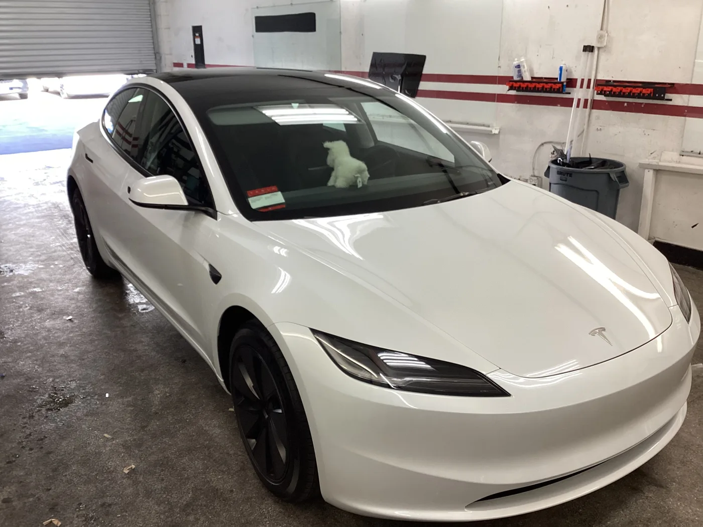 White Tesla Model Y from Superior’s window tint photo collection in Ontario